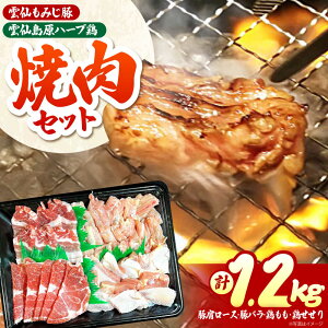 yӂ邳Ɣ[Łz_݂؁E_哇n[u{@ē WZbg 1.2kg / Ă ₫ɂ ؓ { / 쓇s / ͂ȂԂ[SCN167]