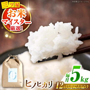 �y�ӂ邳�Ɣ[�Łz�y�쓇���s�Y�q�m�q�J���z5kg×12�� ����� / �Ђ̂Ђ��� �� ���� ���� �R�� ���� / �쓇���s / �ѓc�č��X [SCO003]