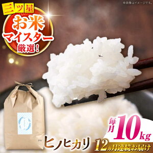 �y�ӂ邳�Ɣ[�Łz�y�쓇���s�Y�q�m�q�J���z10kg×12�� ����� / �Ђ̂Ђ��� �� ���� ���� �R�� ���� / �쓇���s / �ѓc�č��X [SCO007]