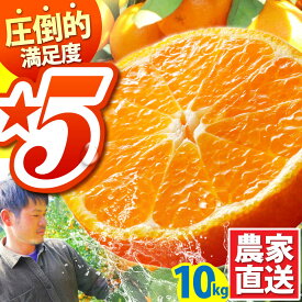 【ふるさと納税】【2026年10月下旬〜発送】温州みかん 10kg / みかん ミカン 蜜柑 フルーツ 甘い 果物 みかん / 南島原市 / 蜜柑屋まつお [SCQ002]