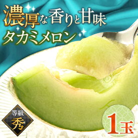 【ふるさと納税】【2027年5月〜発送】【さわやかな味！ 】タカミメロン 1玉 （約1kg） / メロン 南島原市 / 南島原果物屋 [SCV005]