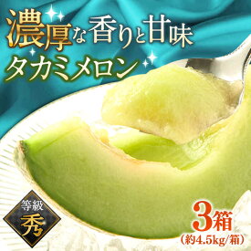 【ふるさと納税】【2027年5月〜発送】【さわやかな味！ 】タカミメロン 3箱セット（1箱 3〜6玉） / メロン 南島原市 / 南島原果物屋 [SCV006]