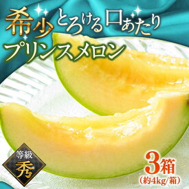 【ふるさと納税】【2027年4月下旬〜発送】【根強い人気！】 プリンスメロン 3箱 セット（1箱 7〜13玉） / メロン 南島原市 / 南島原果物屋 [SCV007]