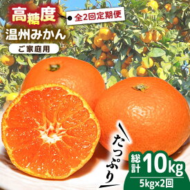 【ふるさと納税】【2025年12月〜発送】【大満足！ 2回 定期便 】温州みかん 約5kg / みかん 定期便 ミカン 蜜柑 長崎県産みかん 糖度 果物 くだもの 果物定期便 フルーツ ふるーつ フルーツ定期便 旬 家庭用 5kg / 南島原市 / 南島原果物屋 [SCV017]
