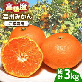 【ふるさと納税】【2026年11月下旬〜発送】【高糖度】温州みかん 約3kg / みかん ミカン 蜜柑 果物 フルーツ / 南島原市 / 南島原果物屋[SCV021]