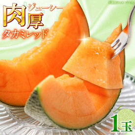 【ふるさと納税】【2027年5月〜発送】タカミメロン レッド 1玉 / メロン めろん フルーツ 果物 / 南島原市 / 南島原果物屋[SCV029]