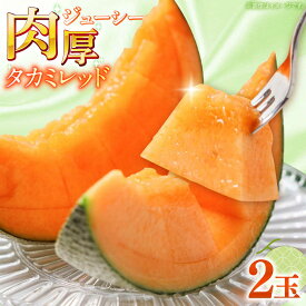 【ふるさと納税】【2027年5月〜発送】タカミメロン レッド 2玉 / メロン めろん フルーツ 果物 / 南島原市 / 南島原果物屋[SCV030]