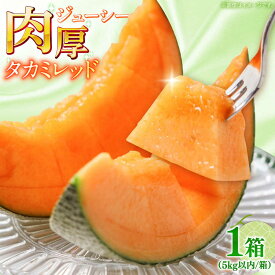 【ふるさと納税】【2027年5月〜発送】タカミメロン レッド 1箱 5kg以内（3〜6玉） / メロン めろん フルーツ 果物 / 南島原市 / 南島原果物屋[SCV031]