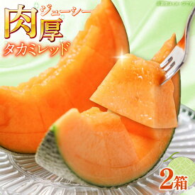 【ふるさと納税】【2027年5月〜発送】タカミメロン レッド 2箱（1箱 3〜6玉） / メロン めろん フルーツ 果物 / 南島原市 / 南島原果物屋[SCV032]