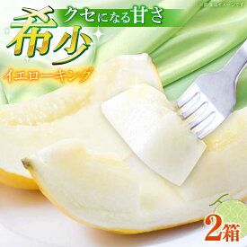 【ふるさと納税】【2027年5月〜発送】メロン イエローキング 2箱（1箱 3〜6玉） / メロン めろん フルーツ 果物 / 南島原市 / 南島原果物屋[SCV040]