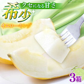 【ふるさと納税】【2027年5月〜発送】メロン イエローキング 3箱（1箱 3〜6玉） / メロン めろん フルーツ 果物 / 南島原市 / 南島原果物屋[SCV041]