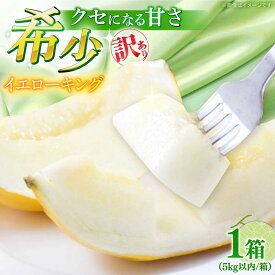 【ふるさと納税】【2027年5月〜発送】訳あり メロン イエローキング 1箱 5kg以内（3〜6玉） / メロン めろん フルーツ 果物 わけあり 訳あり 傷 / 南島原市 / 南島原果物屋[SCV042]