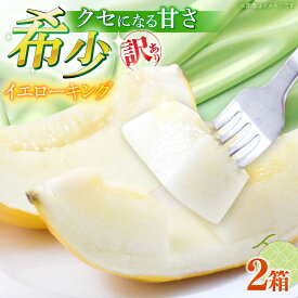 【ふるさと納税】【2027年5月〜発送】訳あり メロン イエローキング 2箱（1箱 3〜6玉） / メロン めろん フルーツ 果物 わけあり 訳あり 傷 / 南島原市 / 南島原果物屋[SCV043]