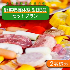 yӂ邳Ɣ[Łzy̌`Pbgz؎ňBBQi2lj /  n ̌v ̌`Pbg o[xL[ BBQ / 쓇s / ~iT| [SCW016]