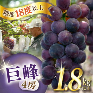 yӂ邳Ɣ[Łzy2026N7{`zyʌzyx18xȏzԂǂ 4[ 1.8kgȏ / Ԃǂ uhE   ʕ t[c ӂ[ / 쓇s / ~iT|[SCW073]