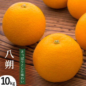 yӂ邳Ɣ[Łzy2026N1`zi10KgjiL`2Lj / ͂ nbTN  ݂ ~J  k t[c ʕ / s / ] [SCY005]