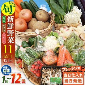 【ふるさと納税】野菜 キノコ 果物 11品目 詰め合わせ お届け 野菜定期便 / 3回 4回 5回 6回 7回 8回 9回 10回 11回 12回定期便 野菜セット やさい 春野菜 夏野菜 秋野菜 冬野菜 旬 / 南島原市 / 吉岡青果 [SCZ007]