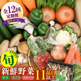 【ふるさと納税】【12回定期便】野菜 キノコ 果物 11品目 詰め合わせ お届け 詰め合わせ 12回 / 定期便 野菜 やさい 春野菜 夏野菜 秋野菜 冬野菜 旬 / 南島原市 / 吉岡青果 [SCZ007]