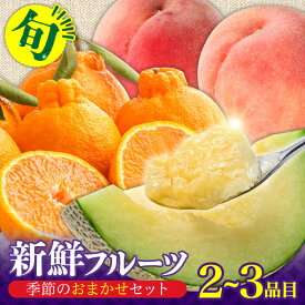 【ふるさと納税】季節の果物 詰め合わせ フルーツセット 旬の果物をお任せで2〜3品目お届け / フルーツ 果物 春フルーツ 夏フルーツ 秋フルーツ 冬フルーツ / 南島原市 / 吉岡青果 [SCZ012]
