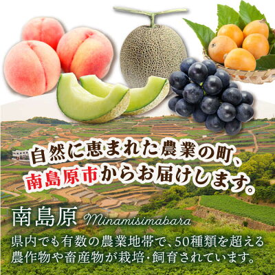 季節の果物 詰め合わせ フルーツセット 旬の果物をお任せで3品目お届け (3品目×12回) 2枚目
