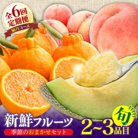 【ふるさと納税】【6回定期便 隔月】フルーツ定期便 旬の果物 詰め合わせ 季節の果物をお任せで2〜3品目お届け（2〜3品目×6回）/ 定期便 フルーツ 果物 春フルーツ 夏フルーツ 秋フルーツ 冬フルーツ / 南島原市 / 吉岡青果 [SCZ016]