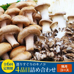 yӂ邳Ɣ[Łzy6 uẑ IZbg 4iځu6iujv / ILmR lߍ킹 ̂ LmR ̂Zbg VN Yn / 쓇s / g [SCZ017]