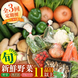 【ふるさと納税】【毎月コース】野菜 キノコ 果物 11品目 詰め合わせ 3回定期便 / 野菜定期便 やさい定期便 きのこ セット 定期便 / 南島原市 / 吉岡青果[SCZ022]