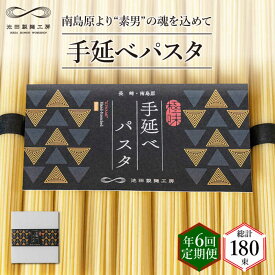 【ふるさと納税】【定期便 年6回】手延べ パスタ 1.5kg （50g×30束） / スパゲッティ 麺 乾麺 / 南島原市 / 池田製麺工房 [SDA052]