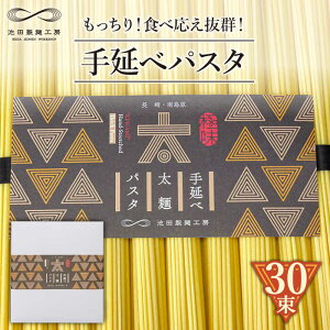 yӂ邳Ɣ[Łz艄ב˃pX^ 1.5kg (50g×30) / pX^ ς XpQbeB   / 쓇s / rcˍH[ [SDA069]