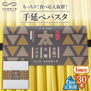 yӂ邳Ɣ[Łzy6ցz艄ב˃pX^ 1.5kg (50g×30) / pX^ ς XpQbeB   / 쓇s / rcˍH[ [SDA071]