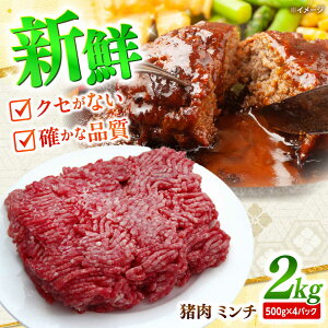 yӂ邳Ɣ[Łz ~` 2kg _傢̂ / Ђ  CmVV WrG ̂ no[O / 쓇s / Ѝcq[SDB013]