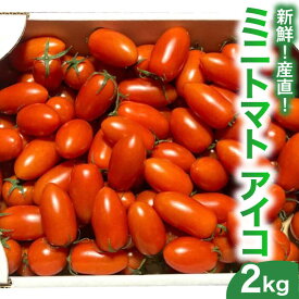 【ふるさと納税】【新鮮 ！ 産直 】ミニトマト ( アイコ ) 2kg / トマト とまと 野菜 常温 / 南島原市 / AOTASFARM [SDM002]