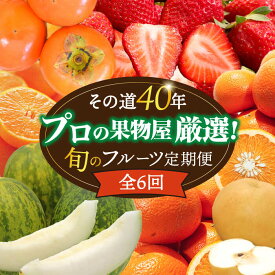 【ふるさと納税】【年6回 奇数月コース】果物屋が選ぶ旬の フルーツ定期便 いちご メロン ハウスみかん 梨 柿 など / フルーツ 果物 定期便 / 南島原市 / 贅沢宝庫 [SDZ021]