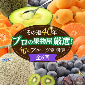 【ふるさと納税】【年6回 偶数月コース】果物屋が選ぶ旬の フルーツ定期便 ハウス びわ メロン ぶどう (巨峰) みかん など / フルーツ 果物 定期便 / 南島原市 / 贅沢宝庫 [SDZ022]