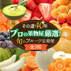 【ふるさと納税】【3回コース】果物屋が選ぶ旬のフルーツ定期便 いちご メロン びわ みかん 梨 柿 など / フルーツ 果物 定期便 / 南島原市 / 贅沢宝庫 [SDZ024]