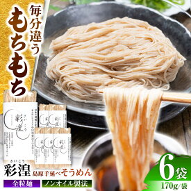 【ふるさと納税】【田中製麺】彩湟（さいこう）全粒麺 ノンオイル製法 島原手延べそうめん 万能麺 170g×6袋 / 純国産 乾麺 パスタ 素麺 / 南島原市 / 贅沢宝庫[SDZ040]