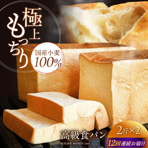 yӂ邳Ɣ[Łzy12ցzyY100%z Hp 2 2{ / Hp Wސ p Hp / 쓇s / sugar man's cafe[SEU016]