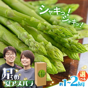 yӂ邳Ɣ[Łzy2025N9`zIׂeʁyʌzÂI_炩IỹAXpzI O[ AXpKX 1kg 2kg / AXp ς I ς炪 ̂ꂽ