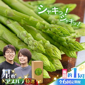 yӂ邳Ɣ[Łzy6ցzỹAXpzt  O[ AXpKX 1kg / AXp t  / 쓇s / قYA [SEY011]