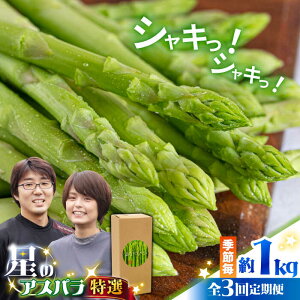 yӂ邳Ɣ[Łzy3ցzỹAXpztEāEH  O[ AXpKX 1kg / AXp  / 쓇s / قYA [SEY013]