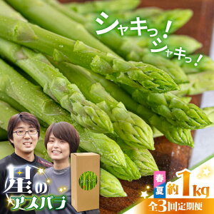 yӂ邳Ɣ[Łzy3ցzỹAXpztE  O[ AXpKX 1kg / AXp  / 쓇s / قYA[SEY016]