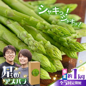 yӂ邳Ɣ[Łzy5ցzỹAXpzt  O[ AXpKX 1kg / AXp t  / 쓇s / قYA[SEY017]