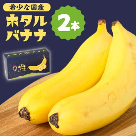 【ふるさと納税】【とても希少な国産バナナをあなたへ！】hotaru バナナ 2本 / ばなな 果物 フルーツ / 南島原市 / hotaru[SFA001]