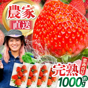 yӂ邳Ɣ[Łzy2026N1`z쓇Y  ŵ݂x250g×4pbN / t[c ʕ C`S  / 쓇s / farm [SFF001]