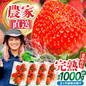 yӂ邳Ɣ[Łzy2026N2 񔭑zy3ցz쓇Y  û݂v260g×4P / C`S  t[c ʕ / 쓇s / farm [SFF003]
