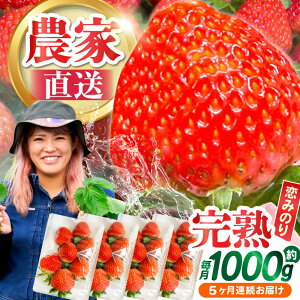 yӂ邳Ɣ[Łzy2026N1 񔭑zy5ցz쓇Y  û݂v260g×4P /  C`S  t[c ʕ / 쓇s / farm [SFF004]