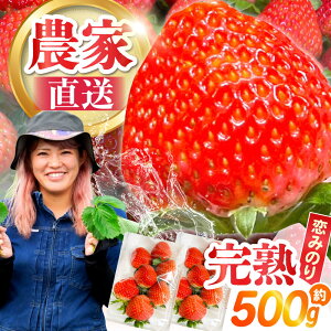 yӂ邳Ɣ[Łzy2026N1`z쓇Y  û݂v250g×2P / C`S  t[c ʕ / 쓇s / farm[SFF006]