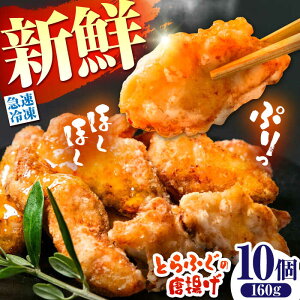 yӂ邳Ɣ[ŁzyققIzgtO  g 10 v160g / g tO ӂ ͓ tC 킳 Zbg ܂ / 쓇s /  FUKUNOTANE[SFJ028]