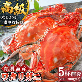 【ふるさと納税】【数量限定】有明海のワタリガニ 200g～300g×5匹前後 / かに ボイル カニ爪 渡り蟹 / 南島原市 / 長栄丸水産[SFM001]