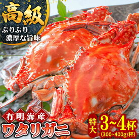 【ふるさと納税】【数量限定】有明海の厳選ワタリガニ 特大サイズ 300g～400g×3～4匹 / かに ボイル カニ爪 渡り蟹 / 南島原市 / 長栄丸水産[SFM002]